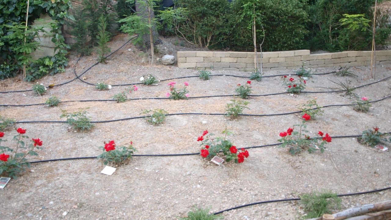Photo of Outdoor in Monteguidi