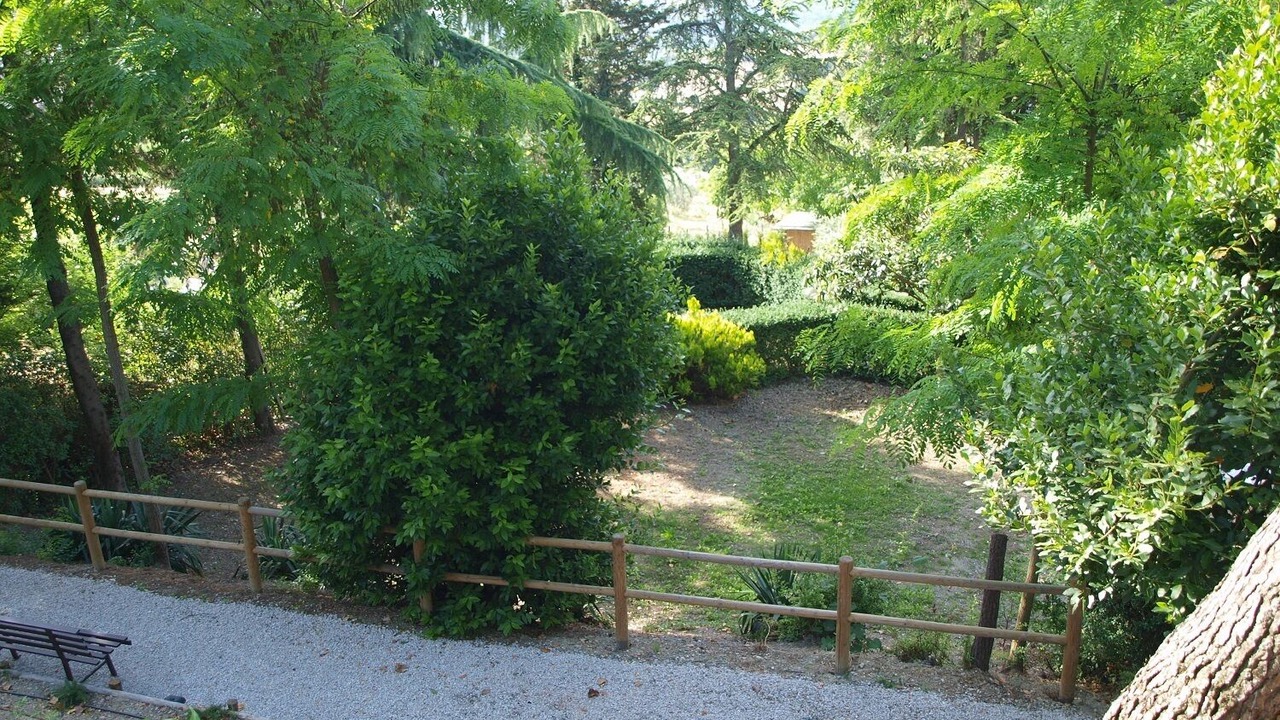Photo of Outdoor in Monteguidi