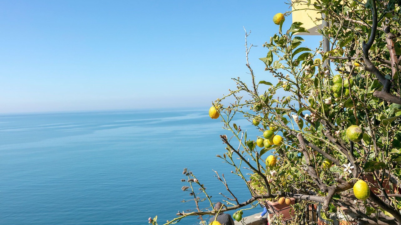 Photo of Others in Corniglia