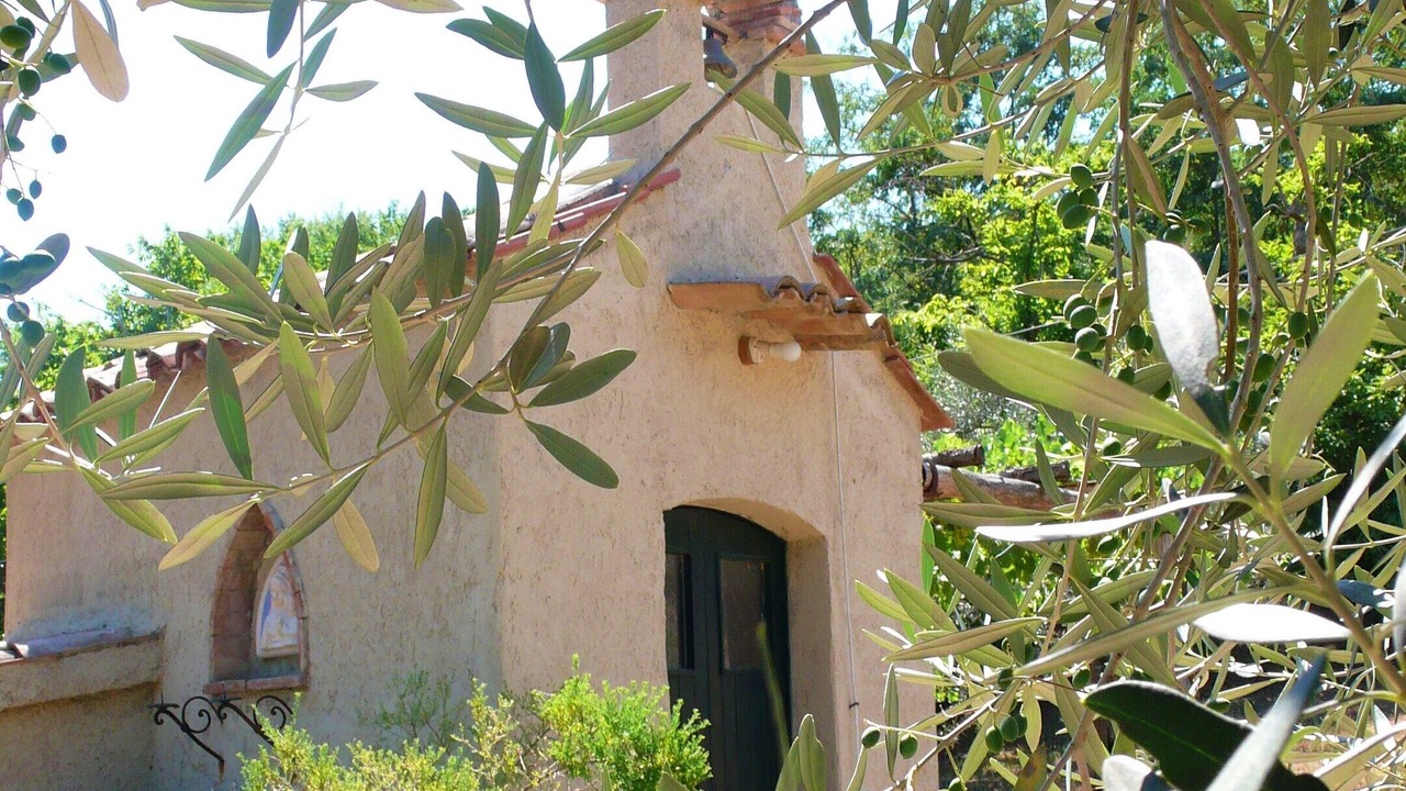 Photo of Outdoor in Bolsena