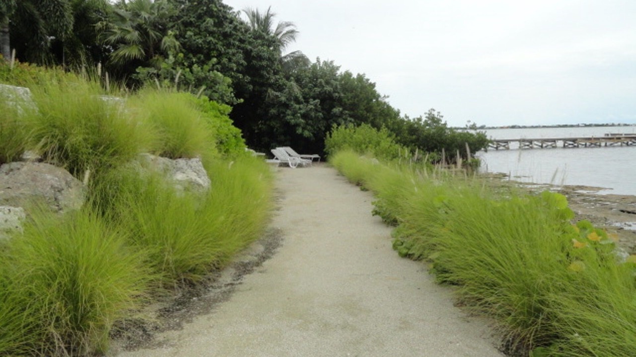 Photo of Outdoor in Cudjoe Key