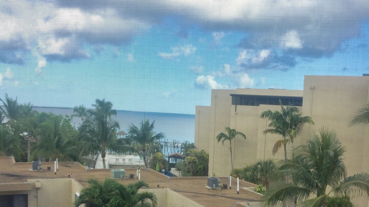 Photo of Others in Key Largo