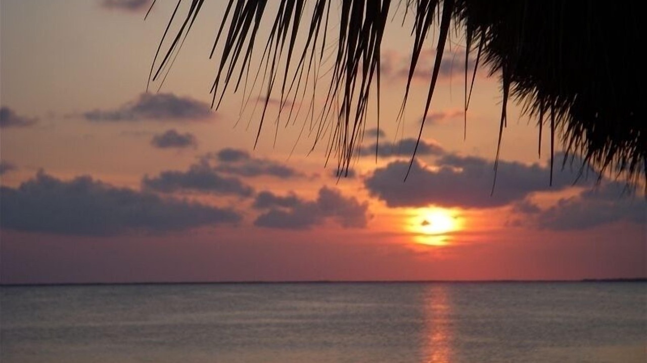 Photo of Others in Key Largo