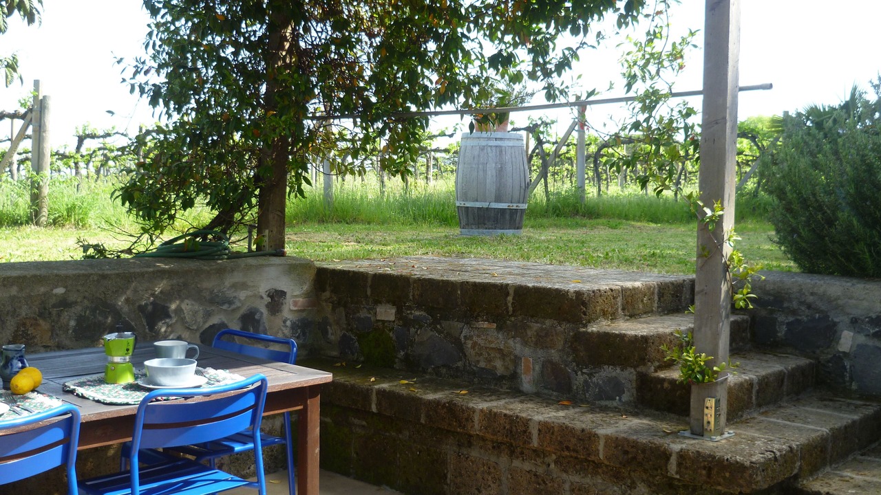 Photo of Others in Orvieto