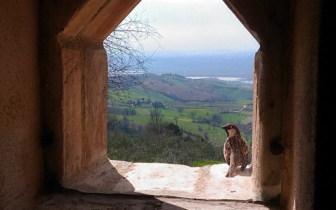 Photo of Others in Guardea