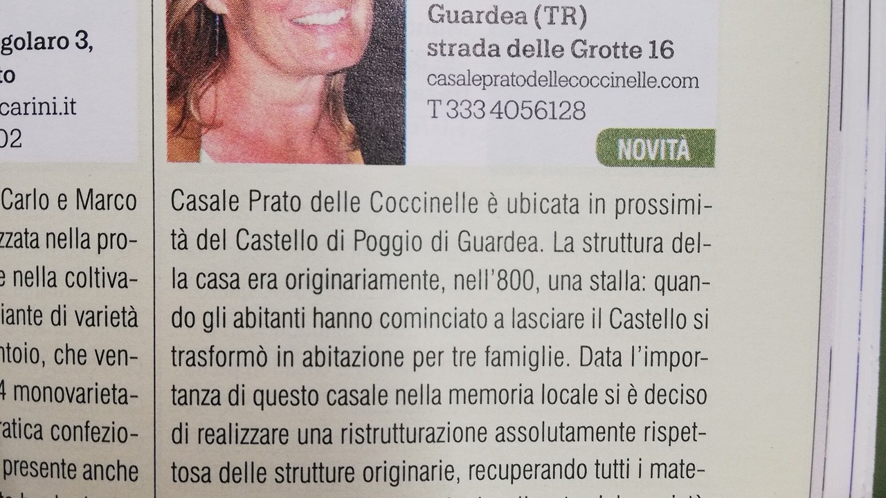 Photo of Others in Guardea