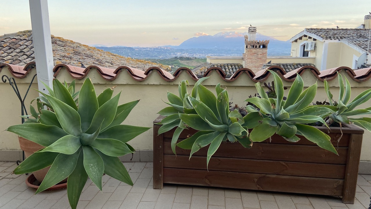 Photo of Outdoor in Case Fornace