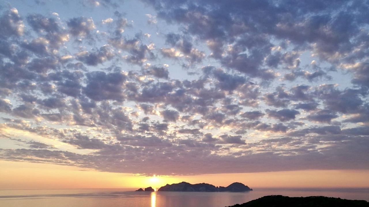 Photo of Others in Ponza