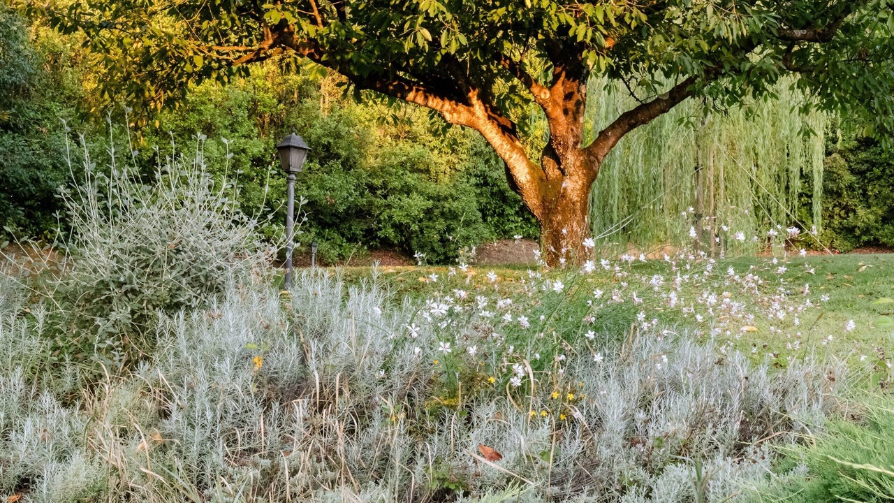 Photo of Outdoor in Todi