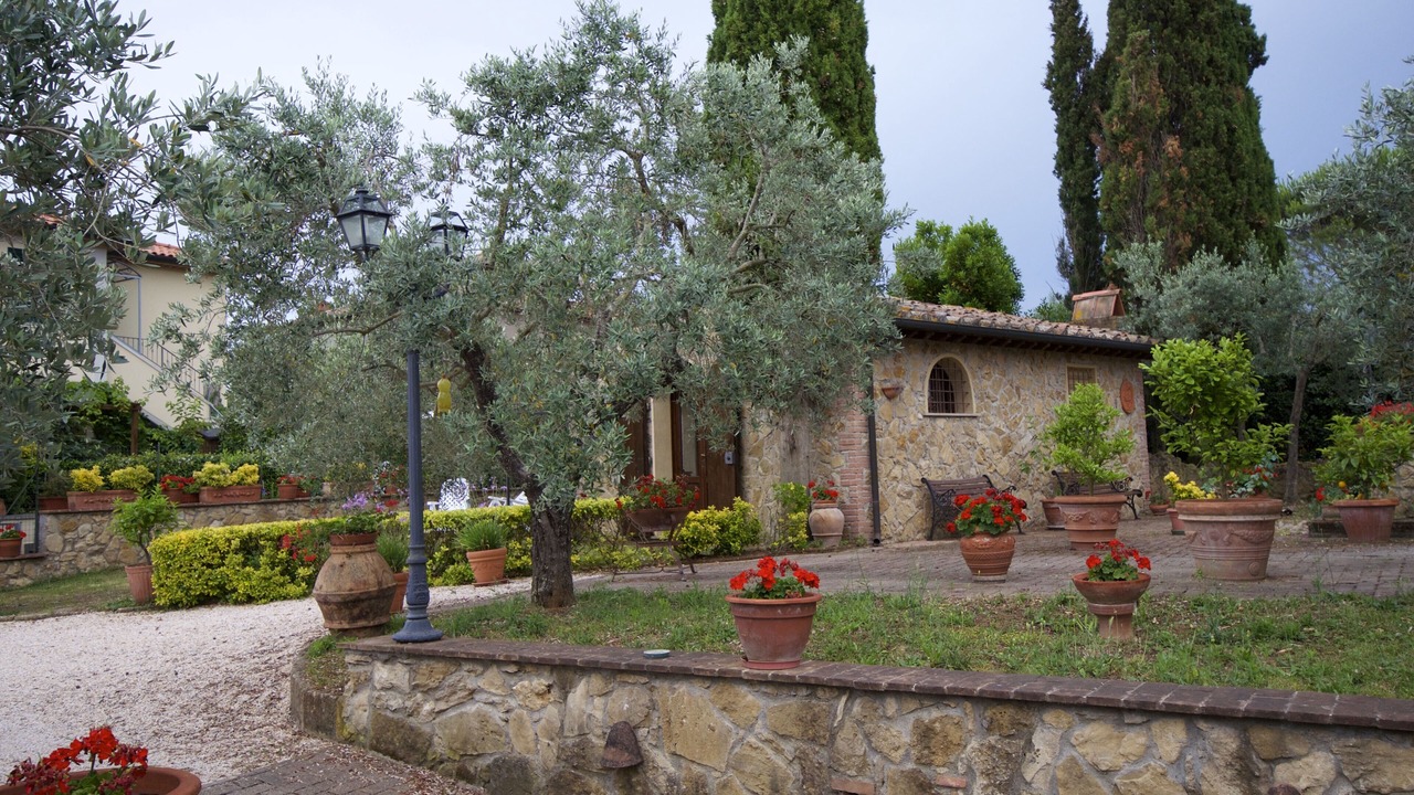 Photo of Outdoor in Montescudaio