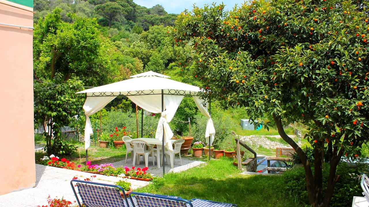 Photo of Outdoor in Deiva Marina