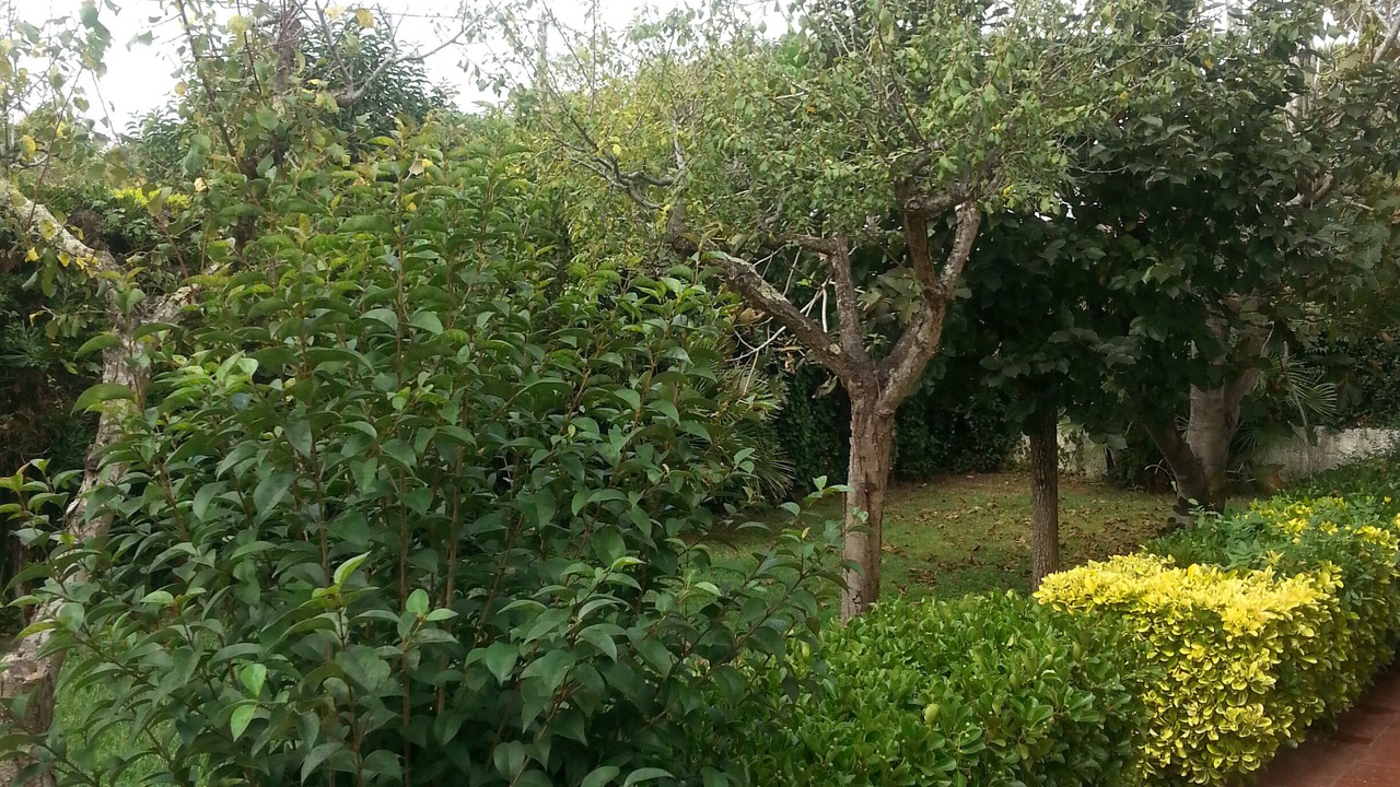 Photo of Outdoor in Latina Lido