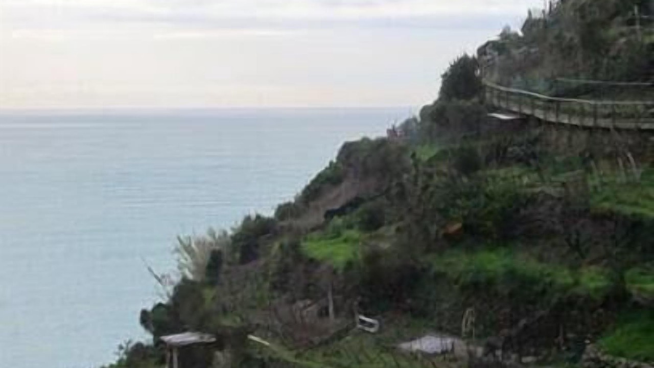 Photo of Others in Manarola