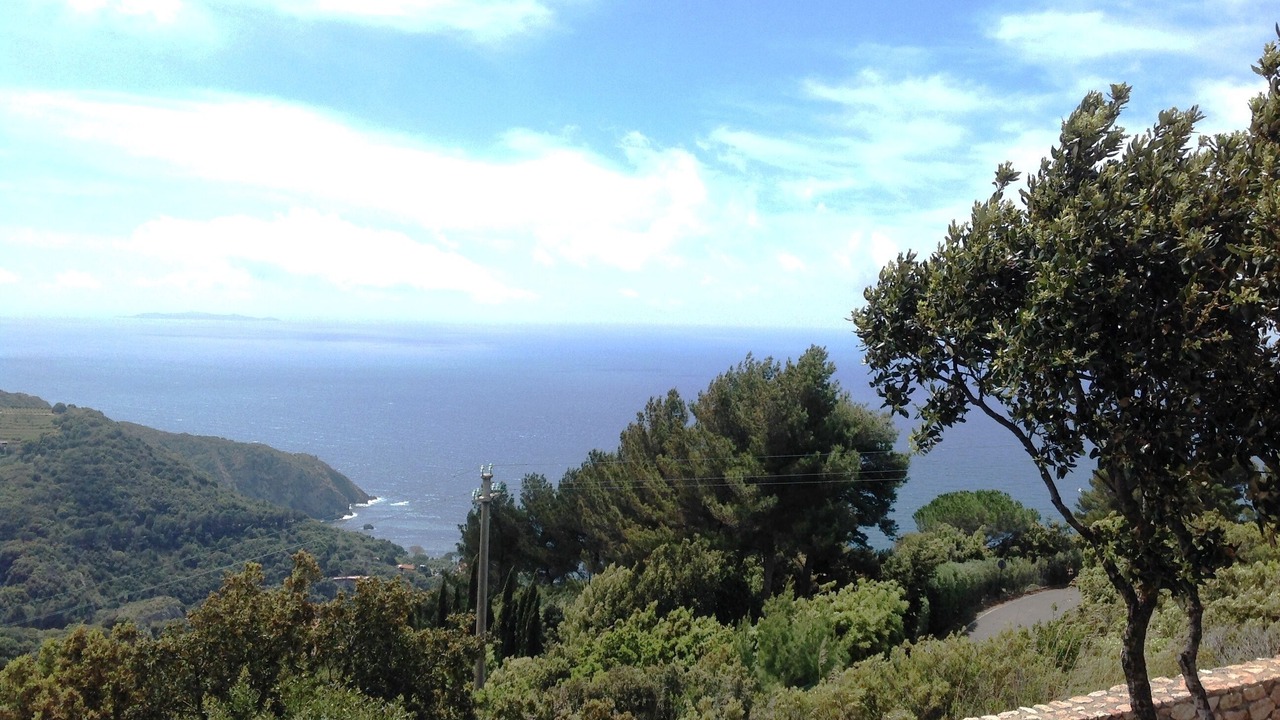 Photo of Others in Cala Piccola