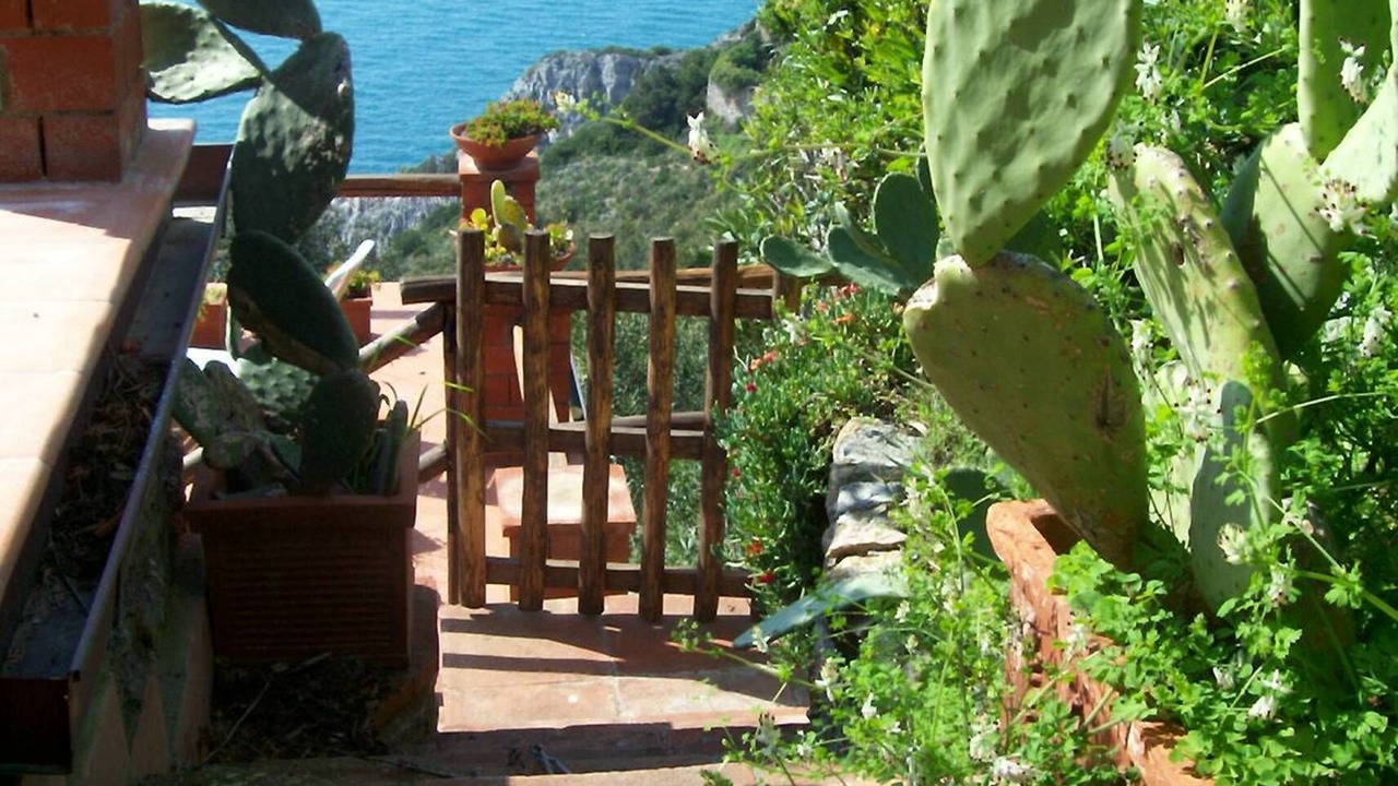 Photo of Outdoor in Cala Piccola