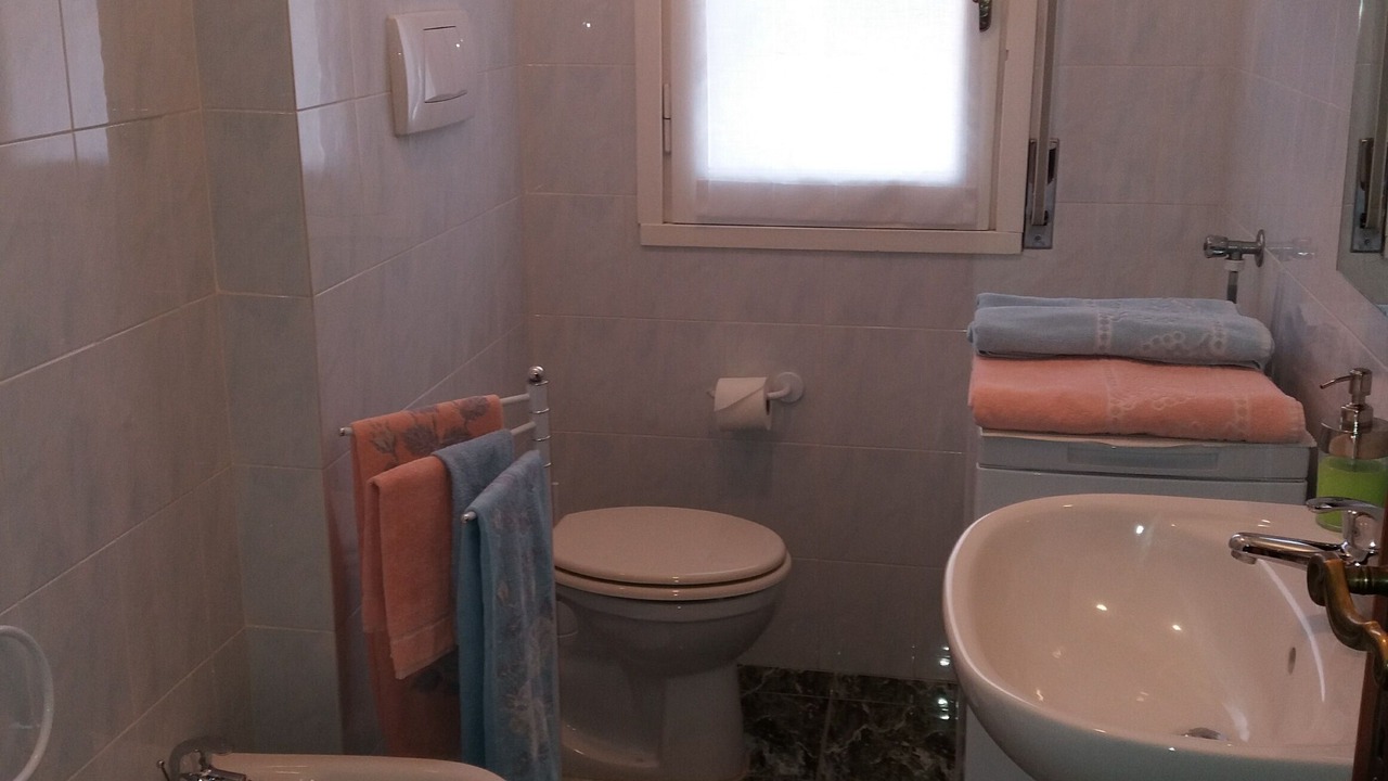 Photo of Bathroom in Moneglia