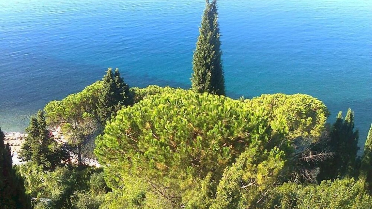 Photo of Others in Moneglia