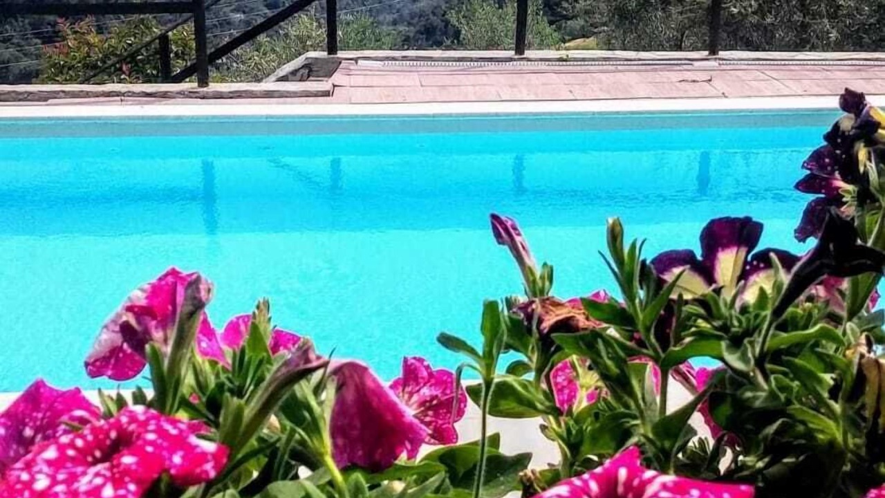 Photo of Outdoor in Seborga