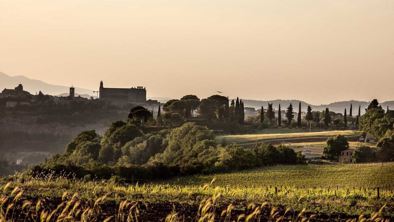 Photo of Others in Orvieto