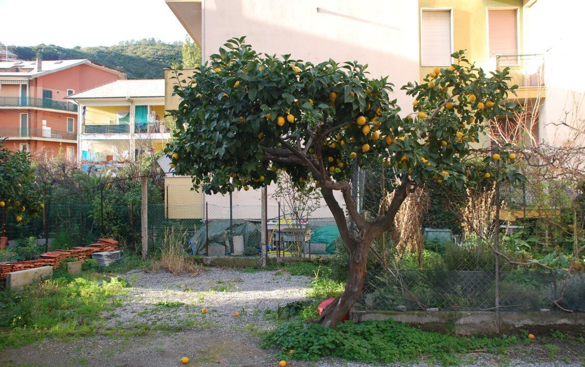 Photo of Outdoor in Deiva Marina
