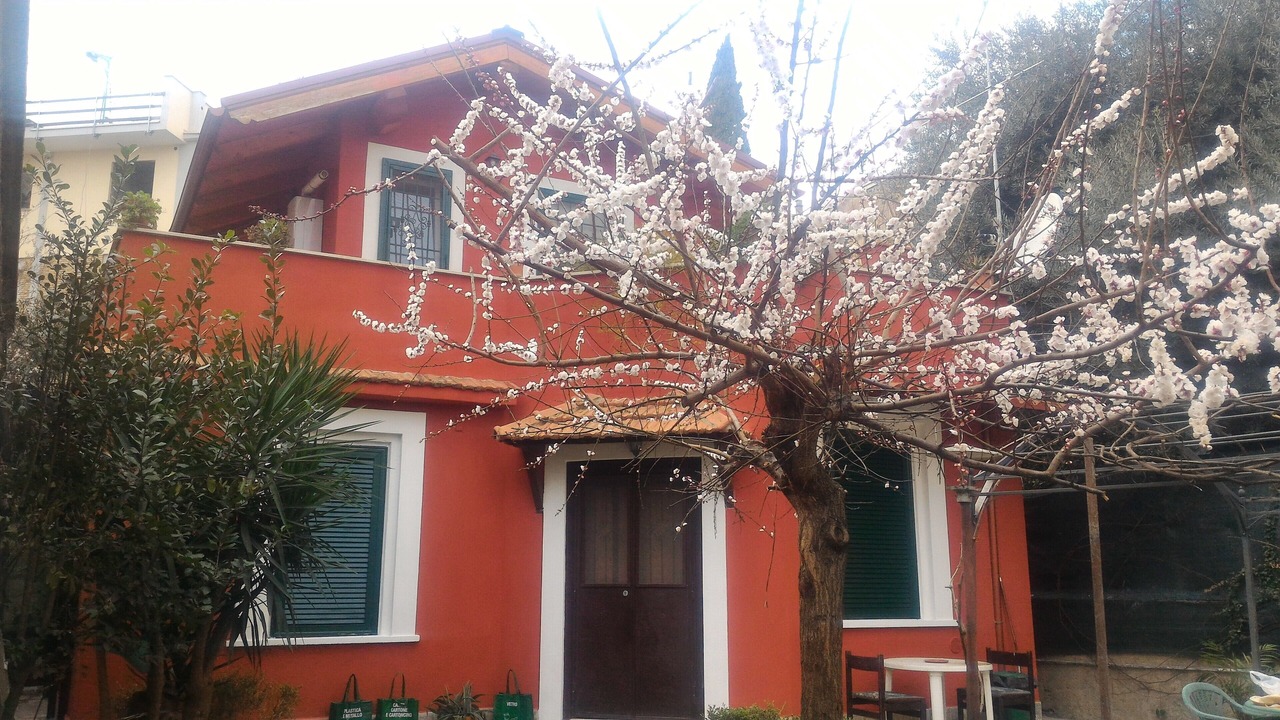 Photo of Outdoor in Prenestino-Centocelle