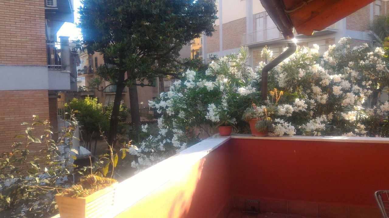 Photo of Outdoor in Prenestino-Centocelle