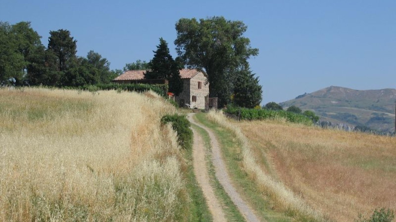 Photo of Others in Il Poggio