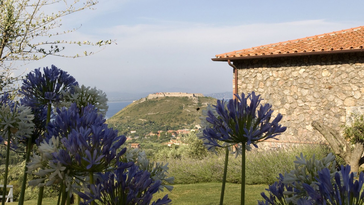 Photo of Outdoor in Porto Ercole
