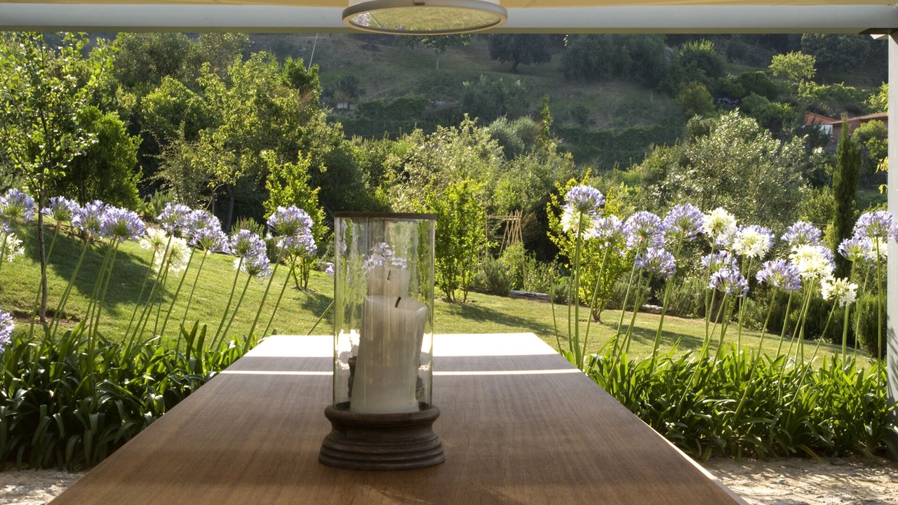 Photo of Outdoor in Porto Ercole