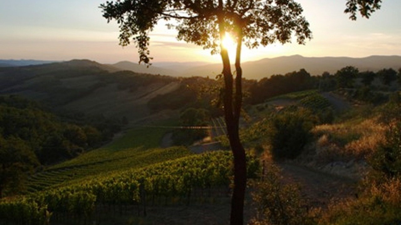 Photo of Outdoor in Monteguidi