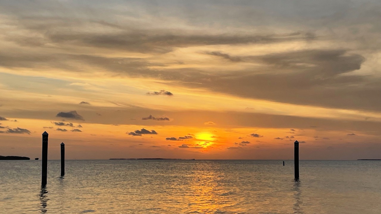 Photo of Others in Islamorada