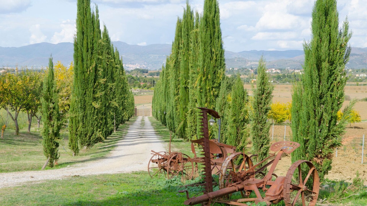 Photo of Outdoor in Fratticciola