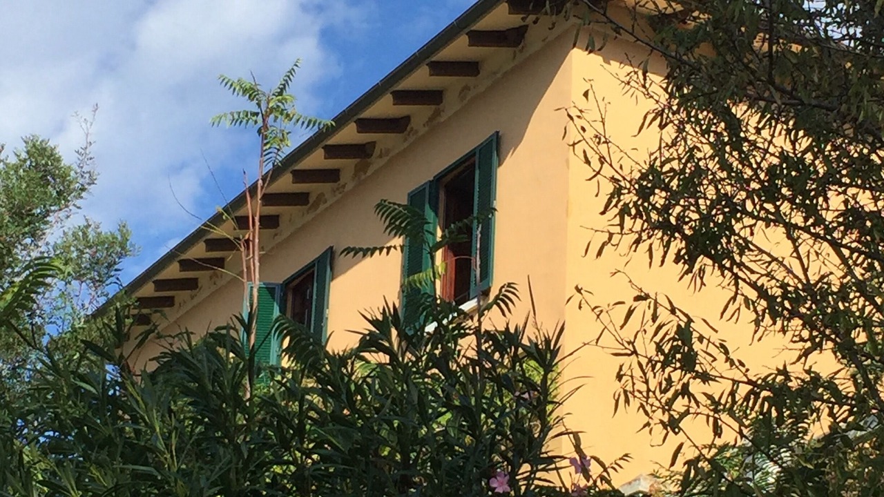 Photo of Outdoor in Bagnaia