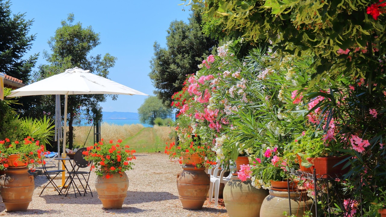 Photo of Outdoor in Passignano sul Trasimeno