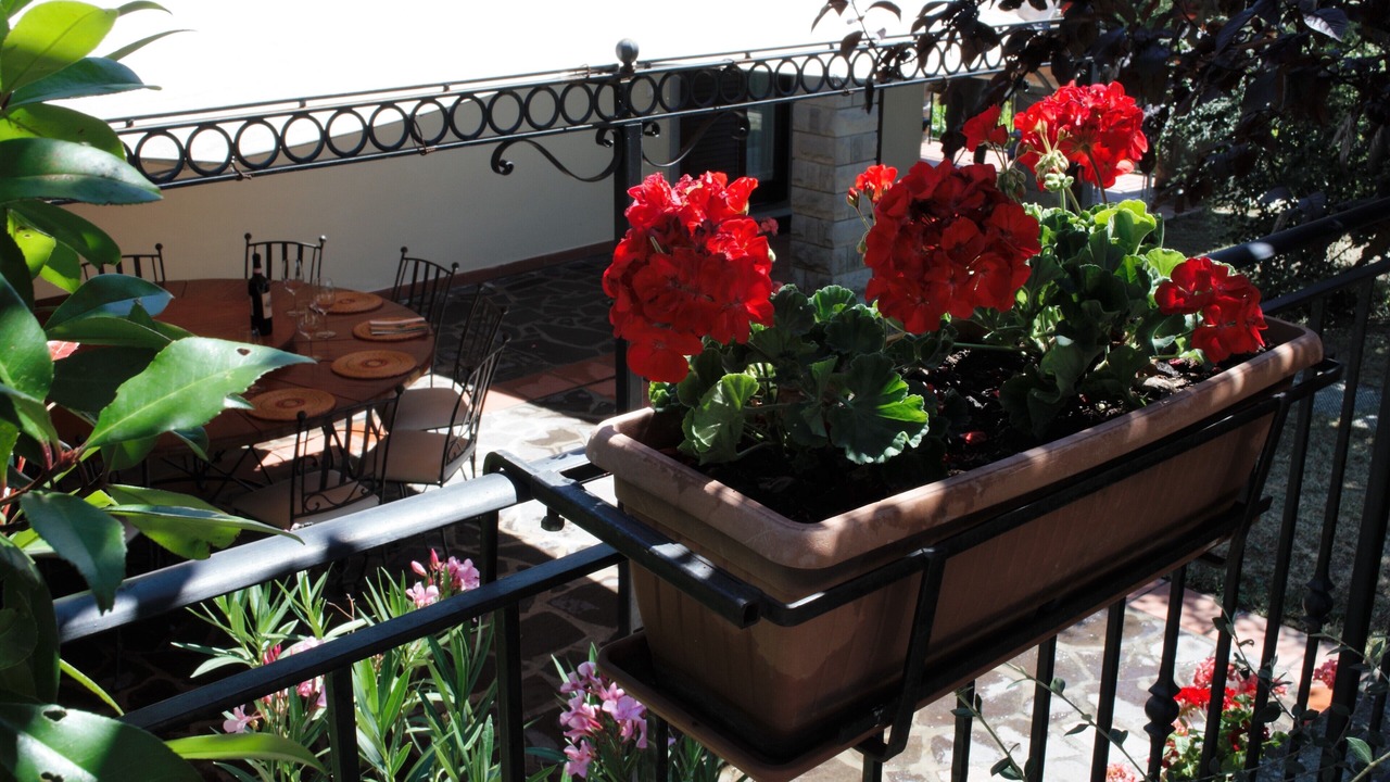 Photo of Outdoor in Pratovecchio