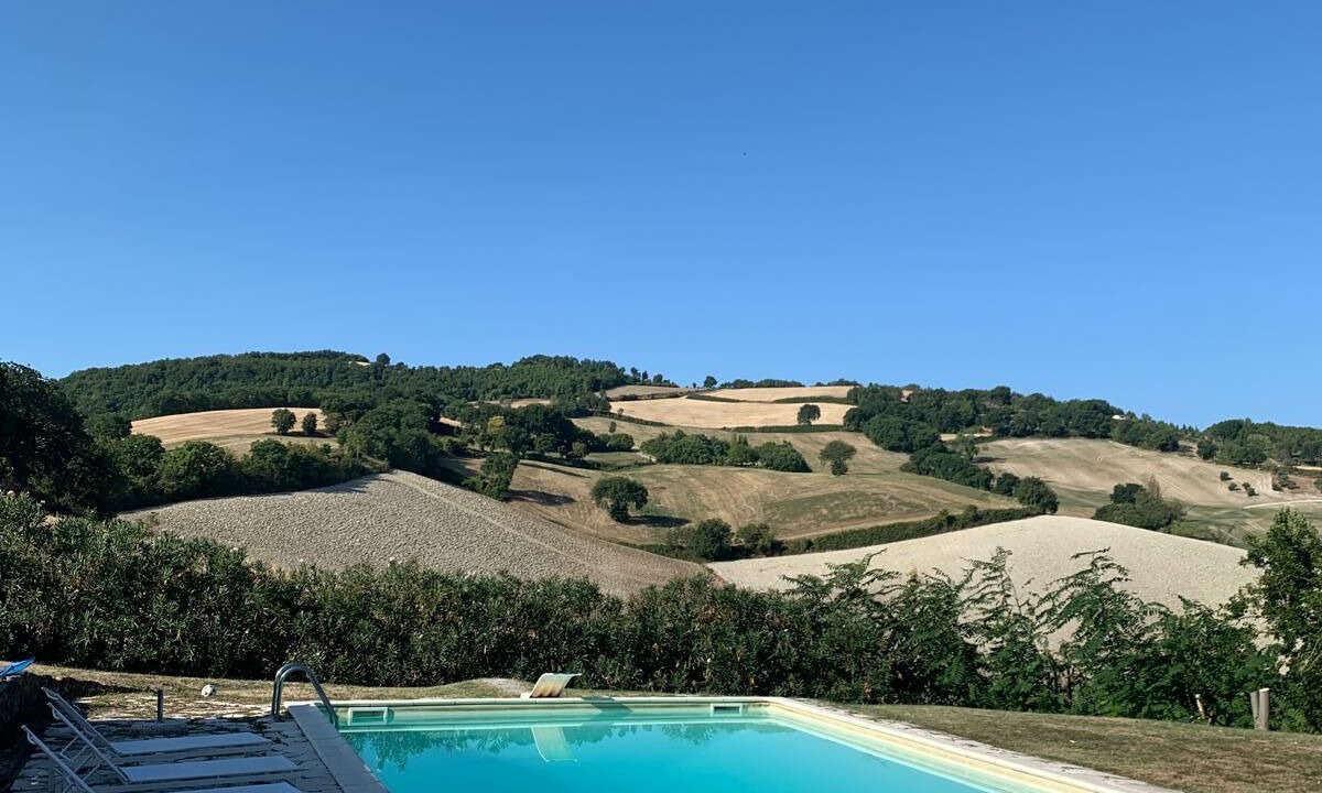 Photo of Outdoor in Pergola