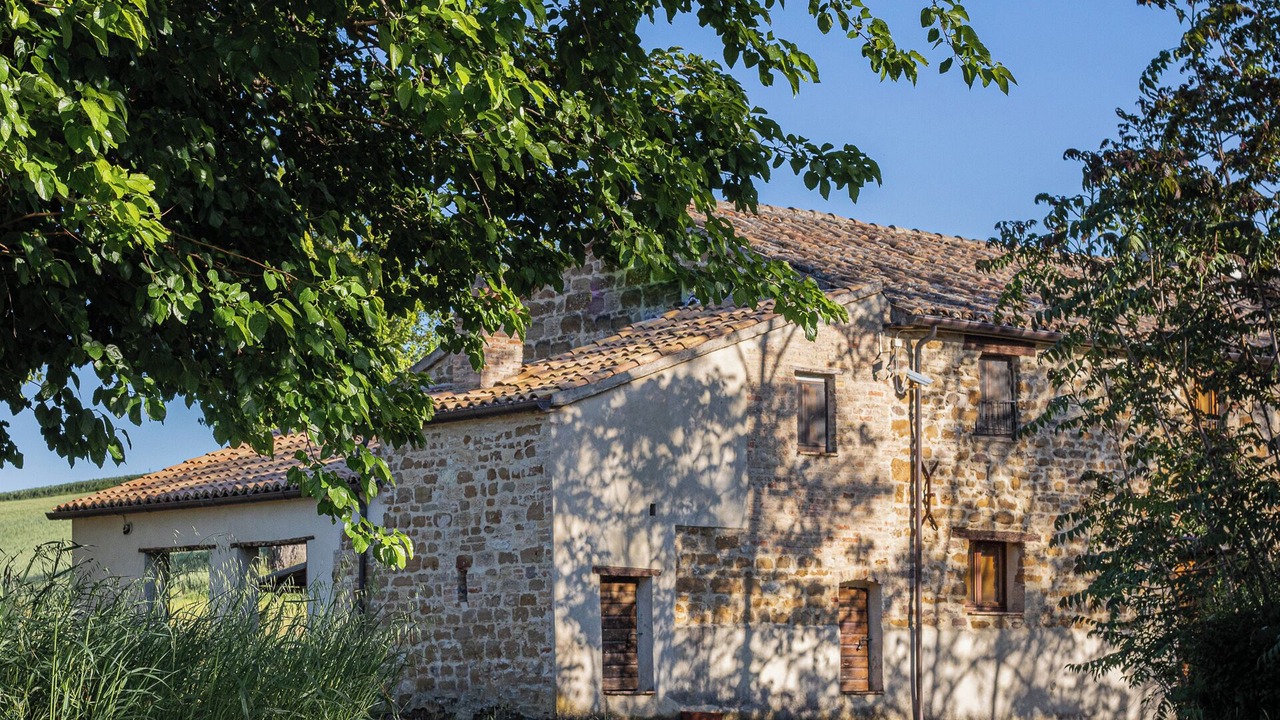 Photo of Outdoor in Pergola