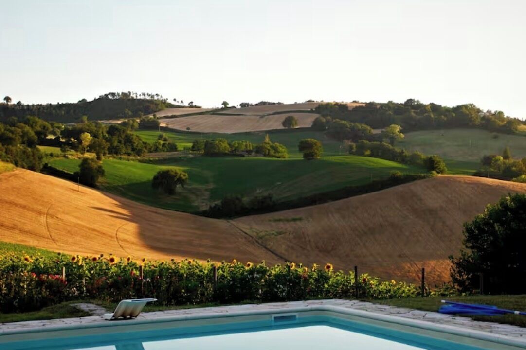 Photo of Outdoor in Pergola
