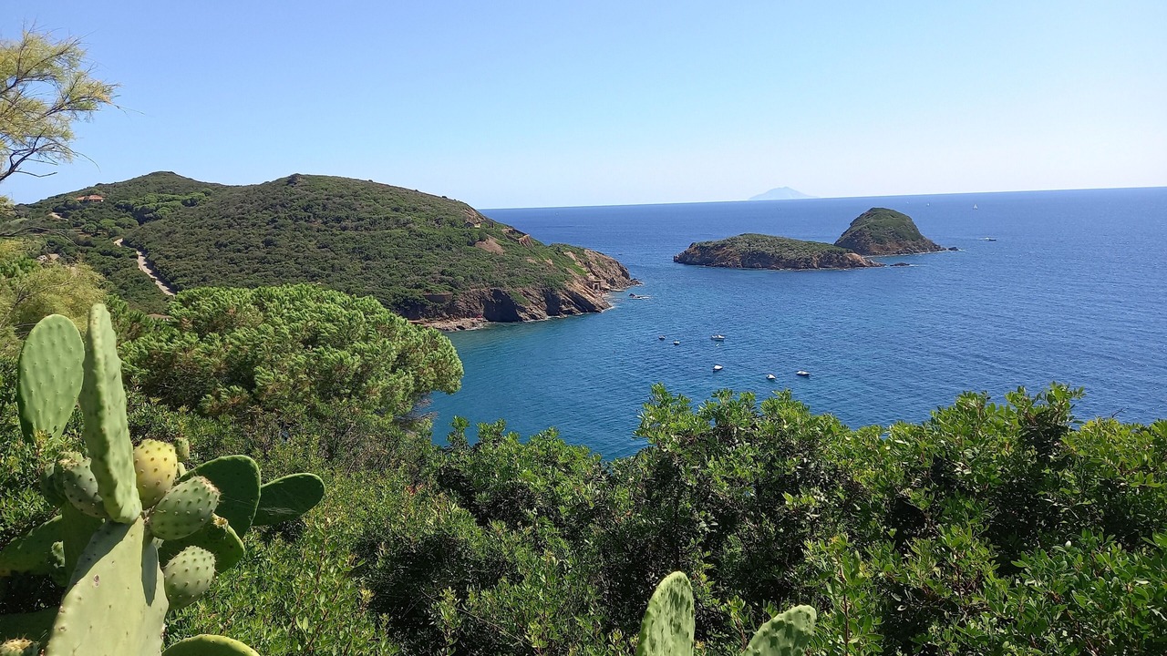 Photo of Outdoor in Capoliveri