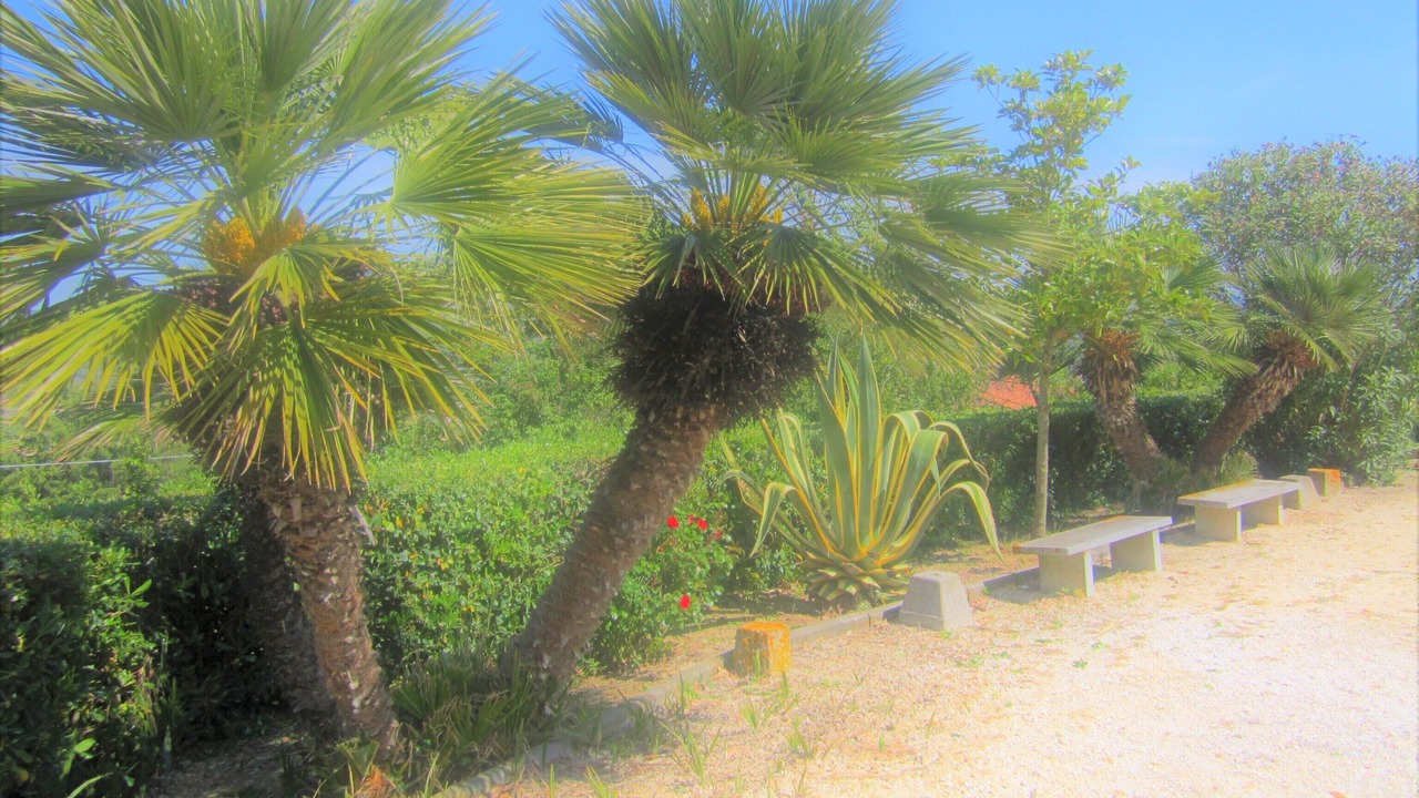 Photo of Outdoor in Capoliveri