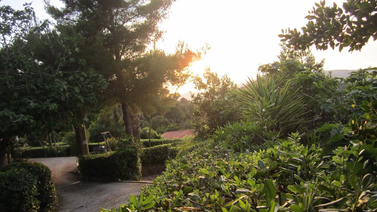Photo of Outdoor in Capoliveri