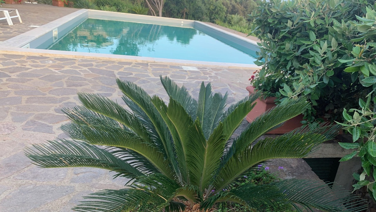 Photo of Outdoor in Ansedonia