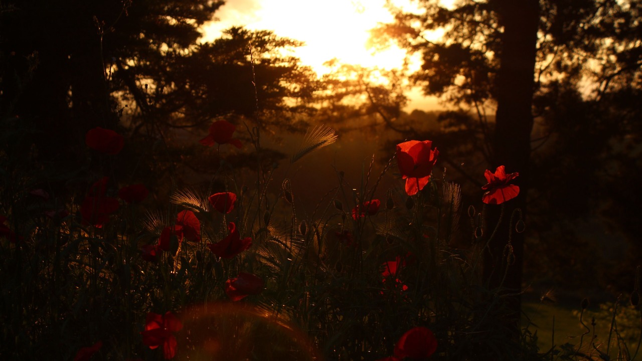 Photo of Outdoor in Magliano Sabina