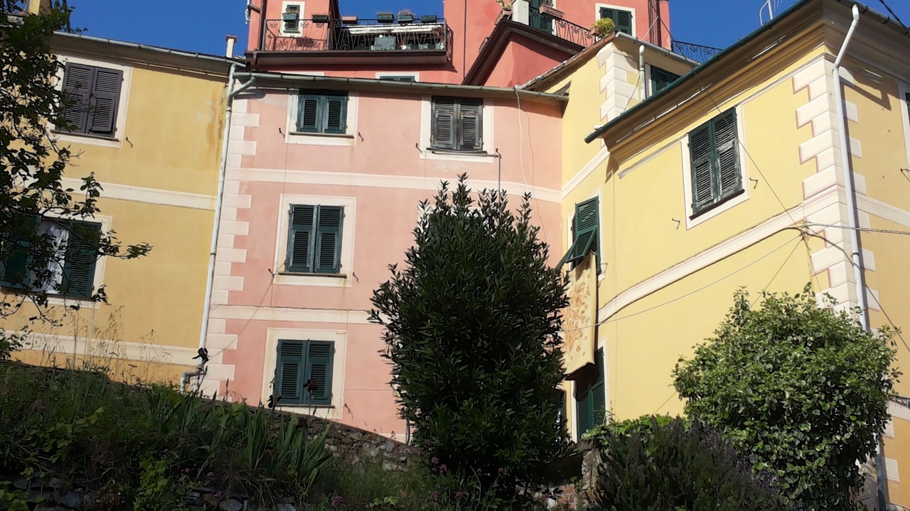 Photo of Outdoor in Lavaggiorosso