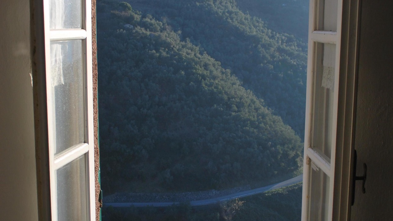 Photo of Others in Lavaggiorosso
