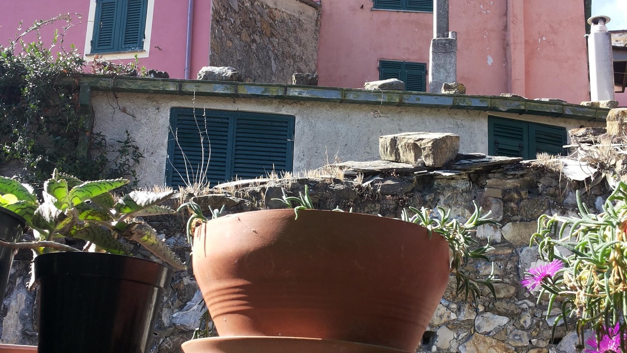 Photo of Outdoor in Lavaggiorosso