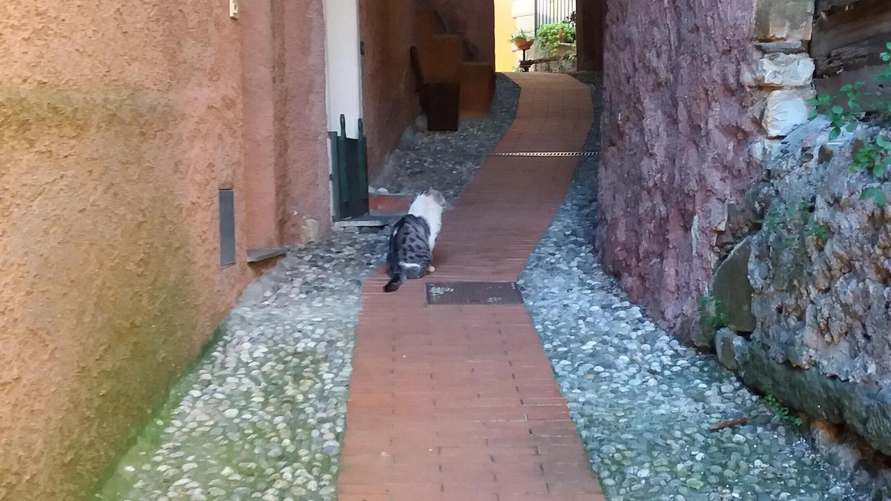 Photo of Outdoor in Lavaggiorosso