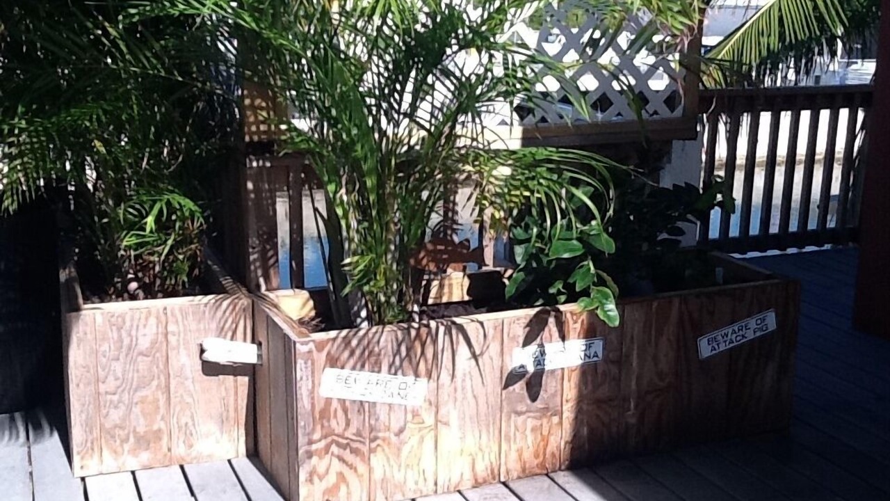 Photo of Others in Summerland Key