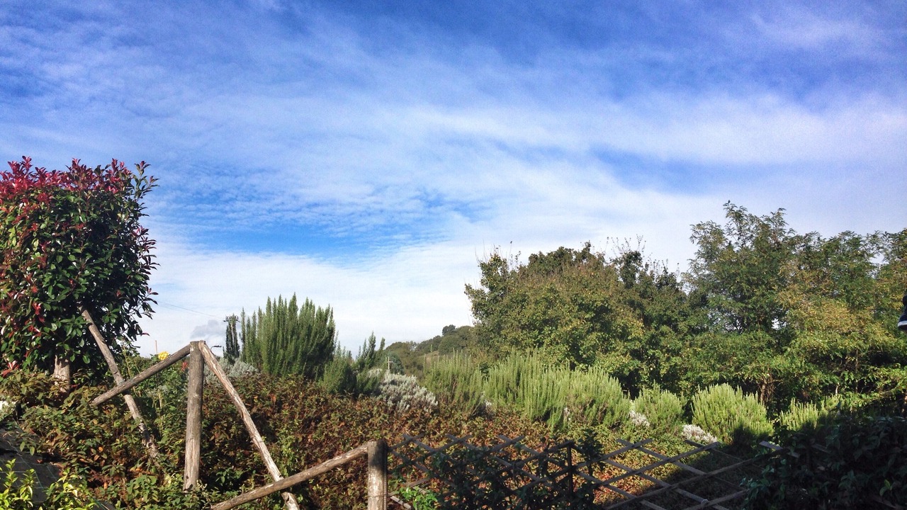 Photo of Outdoor in Montone