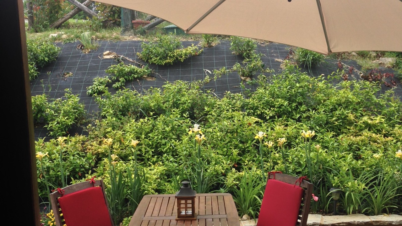Photo of Outdoor in Montone